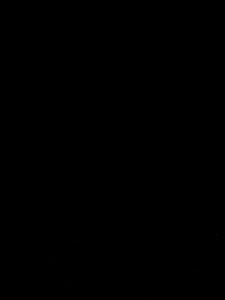 Flag 10