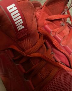 Puma Enzo Stylish Red Sneakers