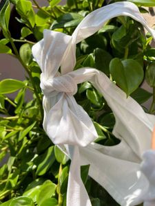Off-Shoulder Ruched White Top