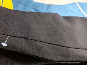 Zara Trouser
