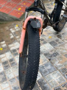 Fire Catcher Fat Tire Bicycle