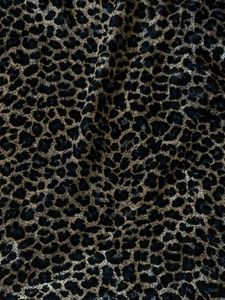Y2K Leopard Mesh Club Top