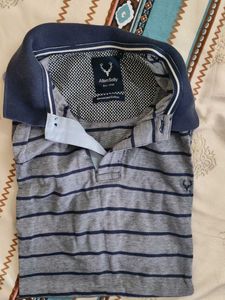 Allen Solly Striped Polo T-Shirt