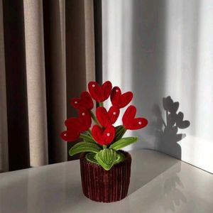 Heart-Shaped Flower Pot Decor