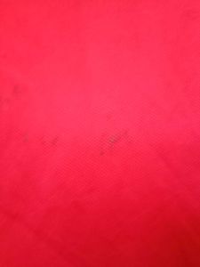 Zomato Red Long Sleeve T-Shirt
