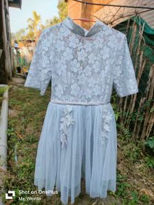 Elegant  Lace Dress