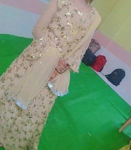 Elegant Sequined Pakistani Dress