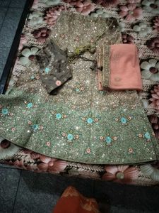 Stunning Embroidered Lehenga Choli