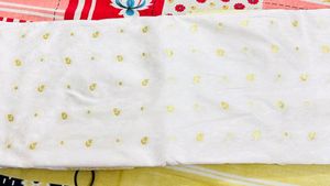 White tanchai banarasi Saree With Blouse Pc