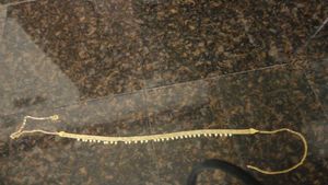 Elegant Gold hip belt with Pearls