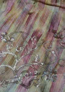Embroidered Saree with Delicate Detailing