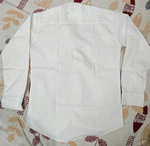 Men's White Collared Shirt