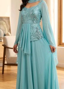 Stunning Sequin Embellished Ethnic Gown