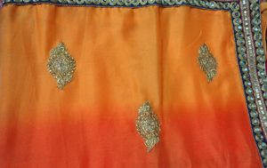 Orange Embellished Saree
