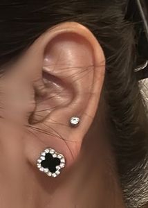 Chic Clover Stud Earrings
