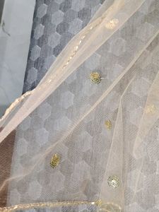 Elegant Beige Dupatta with Sequins