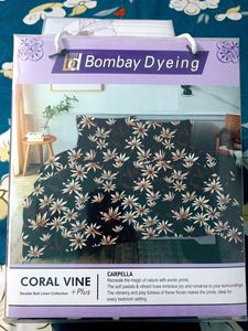 Bed Sheet & Curtains