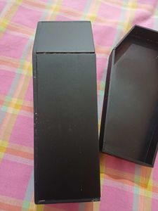 Gothic Coffin Skeleton Decor