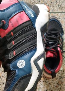 Bacca Bucci Shoes.