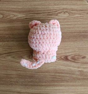 Cute Cat In Peach - Large Size 😻