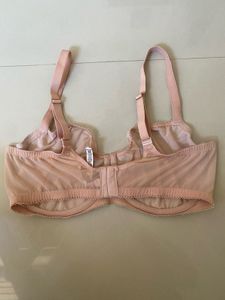 Sheer Pink Balconette Bra