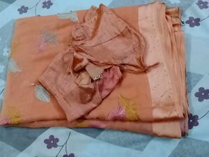 Beautiful Orange Saree with Feather Motifs