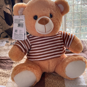 soft teddy bear