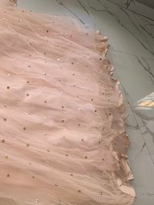 Stunning Embellished Lehenga Choli