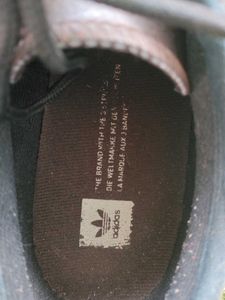 Adidas  Original Suede Leather Skate Shoes