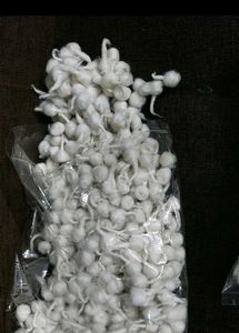 Wick For Pooja Pack Of 2 (Total 1000pcs)