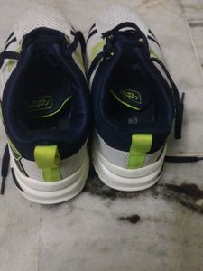 Men's White &amp; Navy Sneakers