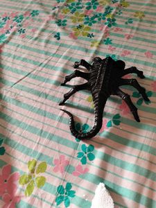 Gothic Facehugger – Cathedral of Nightmare
