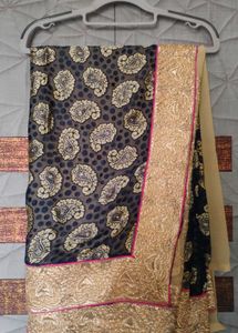 Designer Paisley Print Saree with Gold Border