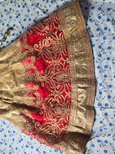 Designer Embellished Lehenga