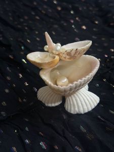 original Seashell Pearl jewellery organiser
