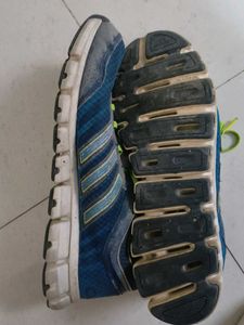 Adidas Climacool Running Shoes