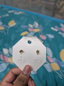 Starfish Stud Earrings