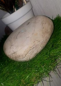 Unique Natural River Stone