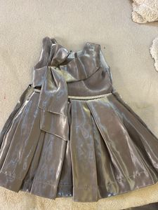 Elegant Shimmering Gown
