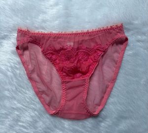 Sheer Pink Lace Briefs