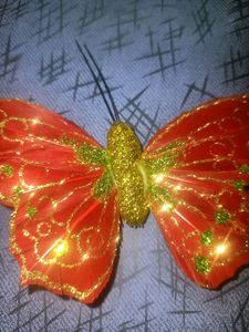 5,Glittering Beautiful Colourful Butterfly 🦋