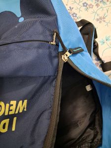 2 Backpacks: Aakash &amp; Frozen Themed