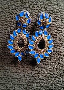 Beautiful Blue Stone Dangle Earrings