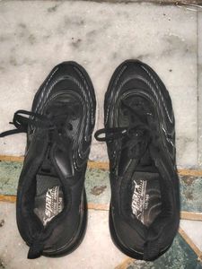 unisex Sparx Running Shoes