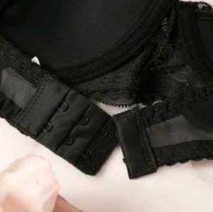 Savanna lace push up bra (brand new with tag)