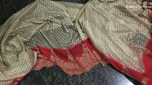 Light red embellished Saree with blouse