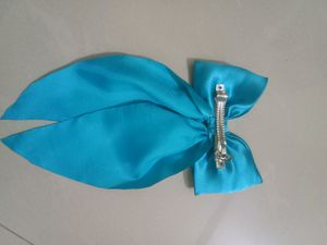 French Barrett Hair Clip