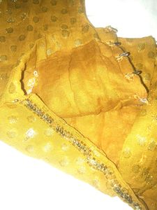 Copper Colour Blouse