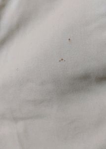 Price Drop ✨️Men Formal Cream Colour Pant