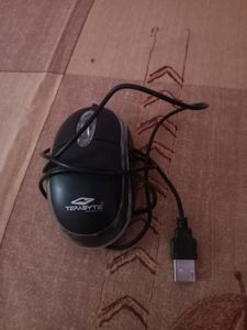 Mouse